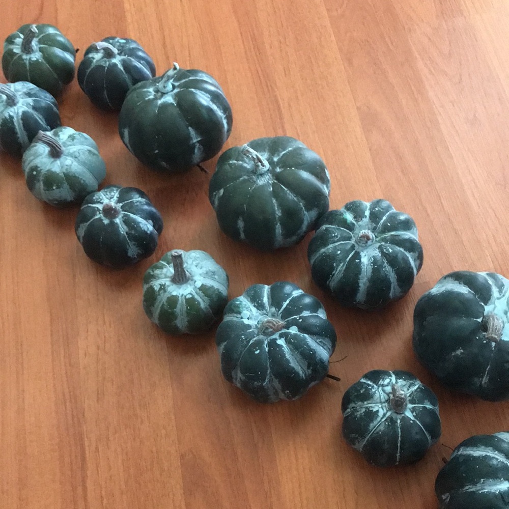 Fall decoration pumpkins/ crafting